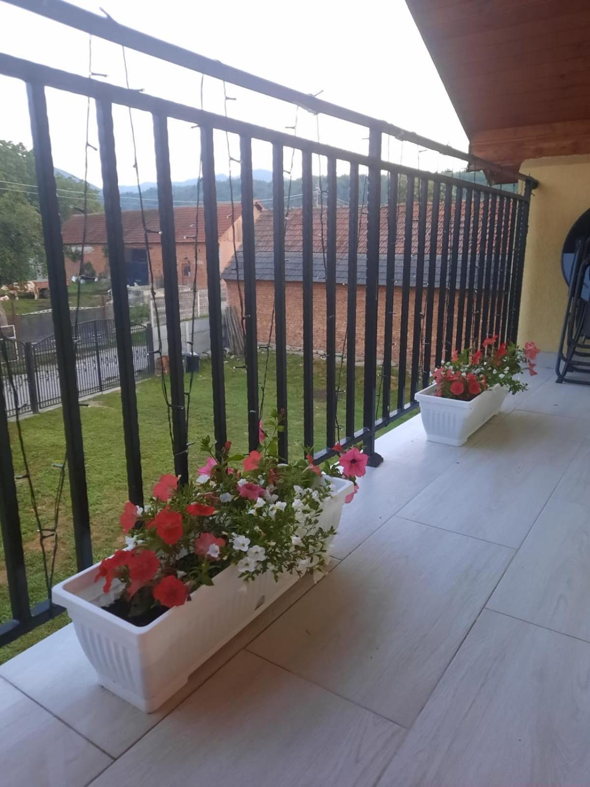 Sibisel  Casa Daniel旅馆 外观 照片
